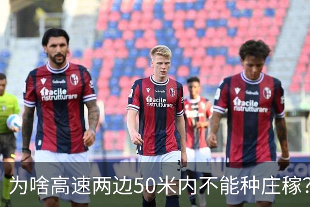 为啥高速两边50米内不能种庄稼？种出来的大米你可能不敢吃