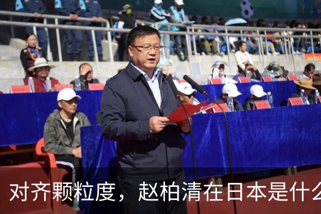对齐颗粒度，赵柏清在日本是什么水平？