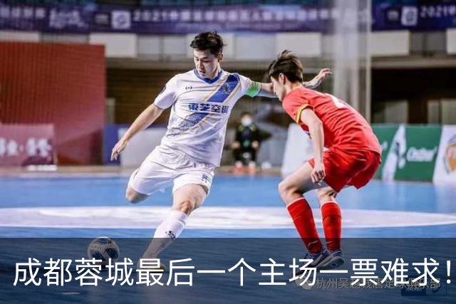 成都蓉城最后一个主场一票难求！成都球迷想看 客场大连球迷更加想要