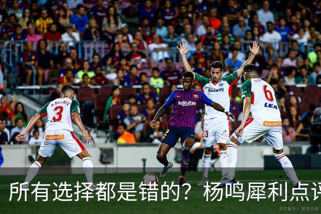 所有选择都是错的？杨鸣犀利点评崔永熙 他的话不一定全对
