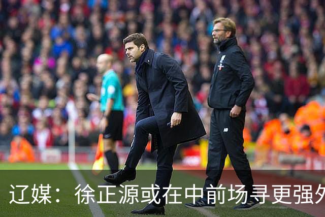 辽媒：徐正源或在中前场寻更强外援，热菲尼奥留队可能性非常大