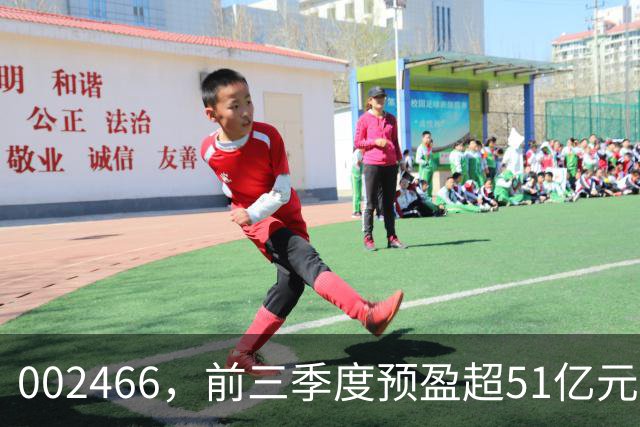 002466，前三季度预盈超51亿元！